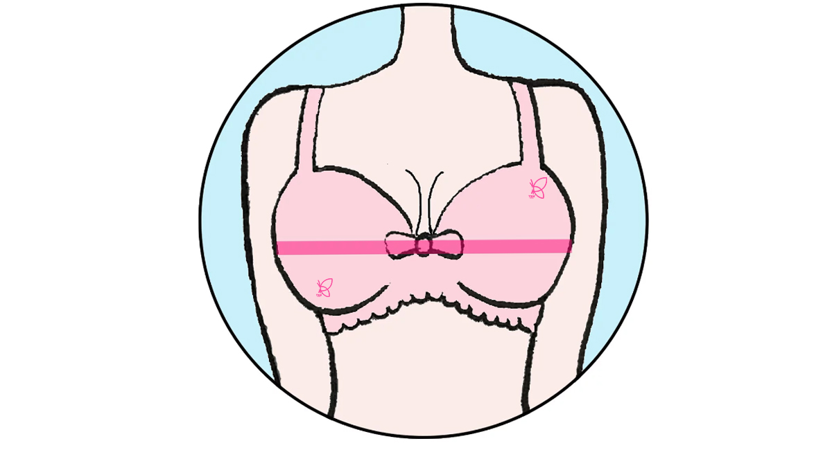 اندازه روی سینه