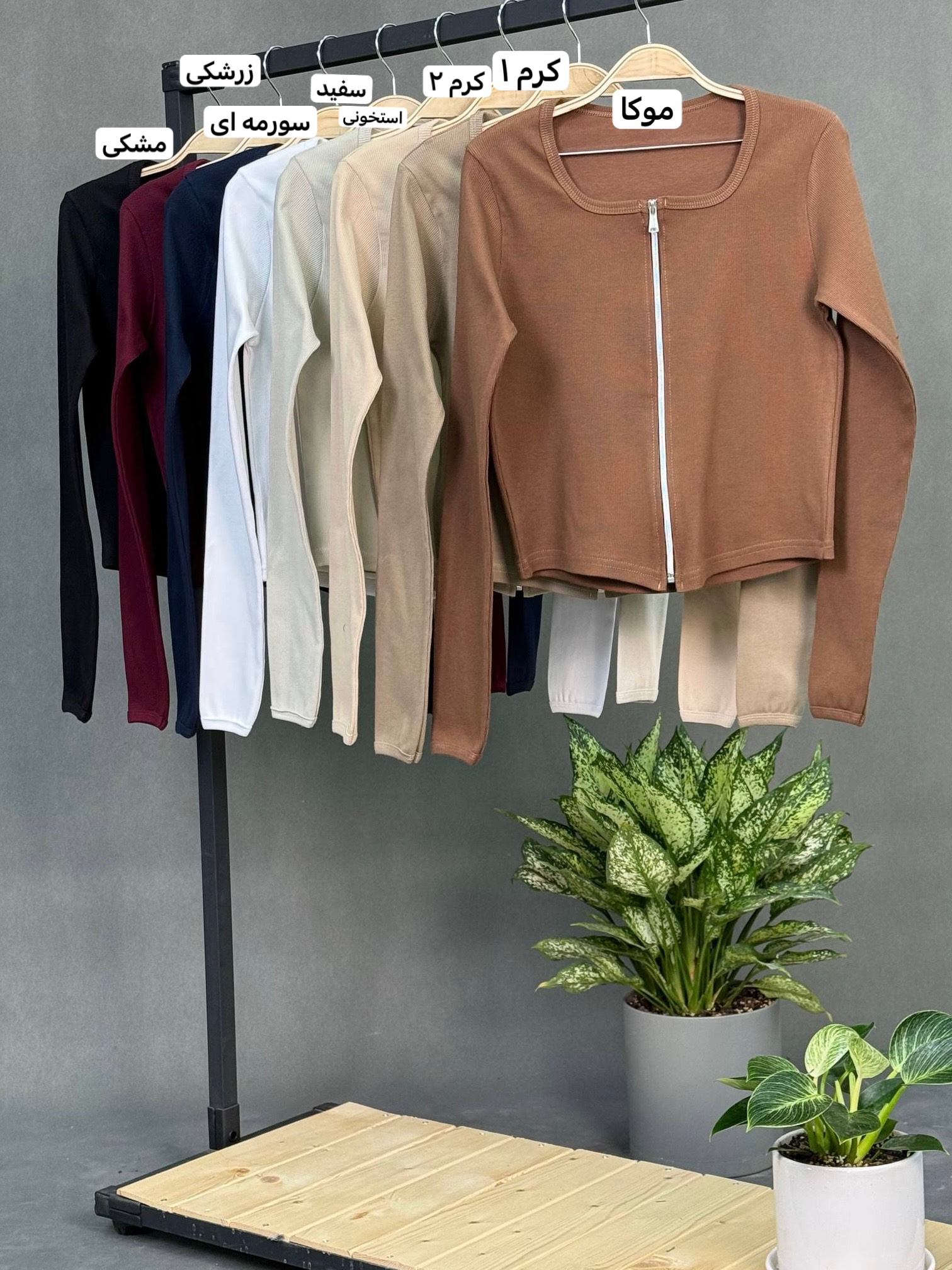 رنگبندی کراپ سوئیشرتی